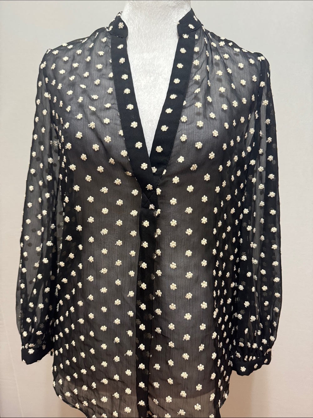 Alice + Olivia Floral Embroidery Button-Front  Sheer Blouse - Picture 7 of 11